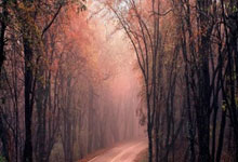 [图]英超-帕尔默破门杰克逊双响 切尔西5-0西汉姆联.